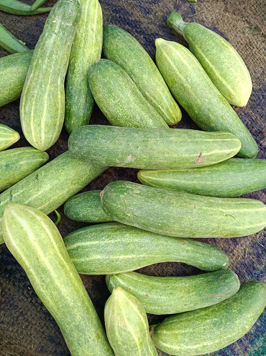 Kakudi